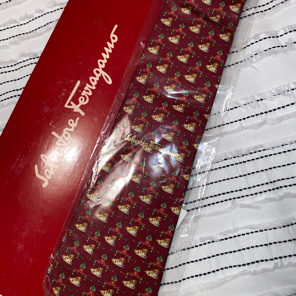 Salvatore Ferragamo Tie